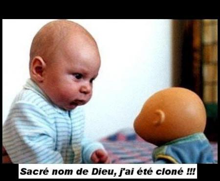 mdr !!!!!